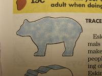 Bear pattern from Bear handbook